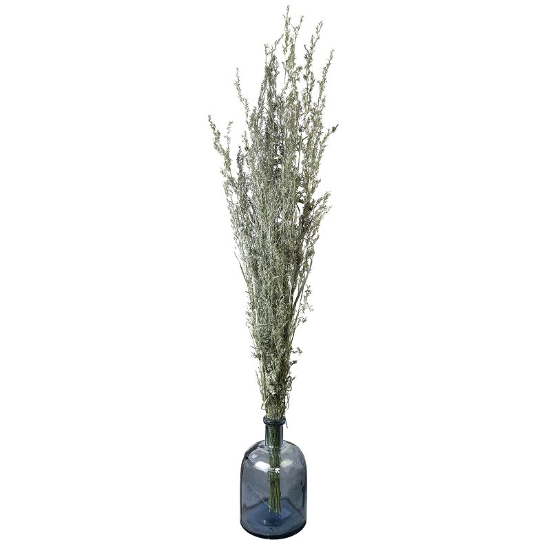 Bouquet de Fleurs Séchées 100 cm Botte de 100 gr Vert Olive