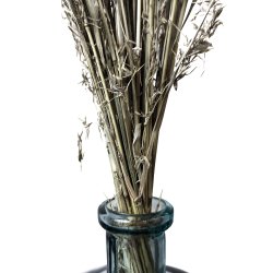 Bouquet de Fleurs Séchées 100 cm Botte de 100 gr Vert Olive
