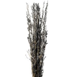 Bouquet de Fleurs Séchées 100 cm Botte de 100 gr Gris Ardoise