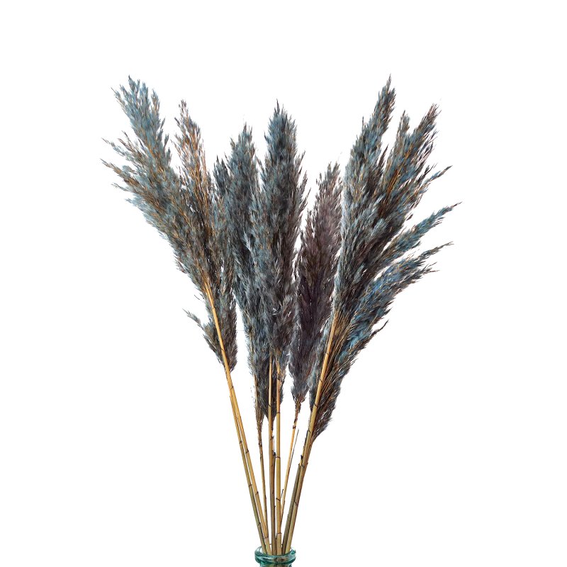 Grand Bouquet De Fleurs Séchées Mix Naturel Et Bleu Naturel Et Bleu - Maison